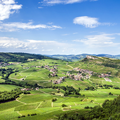 Mâcon Sud Bourgogne, Tourisme et Congrès