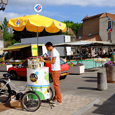 COMMUNAUTE DE COMMUNES DU PAYS DE VILLERSEXEL